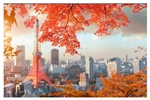 Registration for the eCF Asia Autumn workshop is now open!